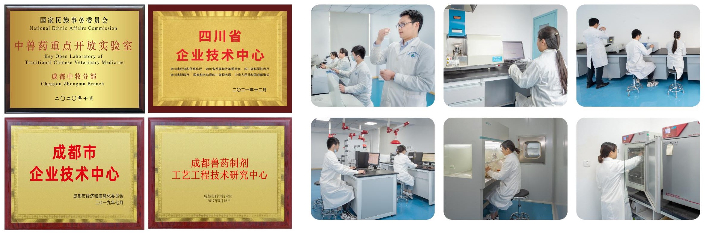 lm体育(中国)官方网站-登录入口